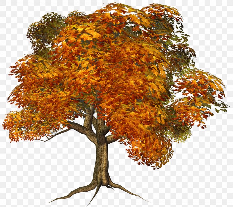 Tree House Autumn Clip Art, PNG, 2000x1776px, Tree, Arecaceae, Autumn, Autumn Leaf Color, Birch Download Free