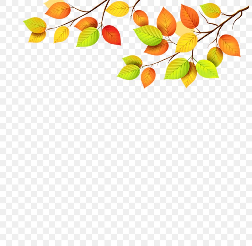 Autumn Leaf Color Clip Art Green, PNG, 800x800px, Autumn Leaf Color, Autumn, Branch, Food, Fruit Download Free