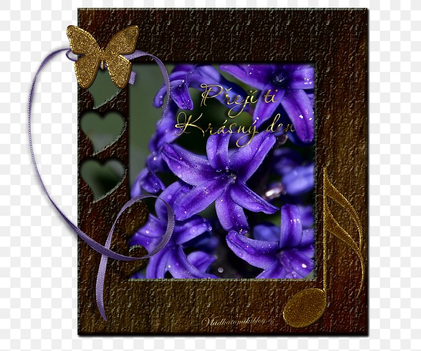 Picture Frames Flowering Plant, PNG, 721x683px, Picture Frames, Cobalt Blue, Electric Blue, Flora, Flower Download Free