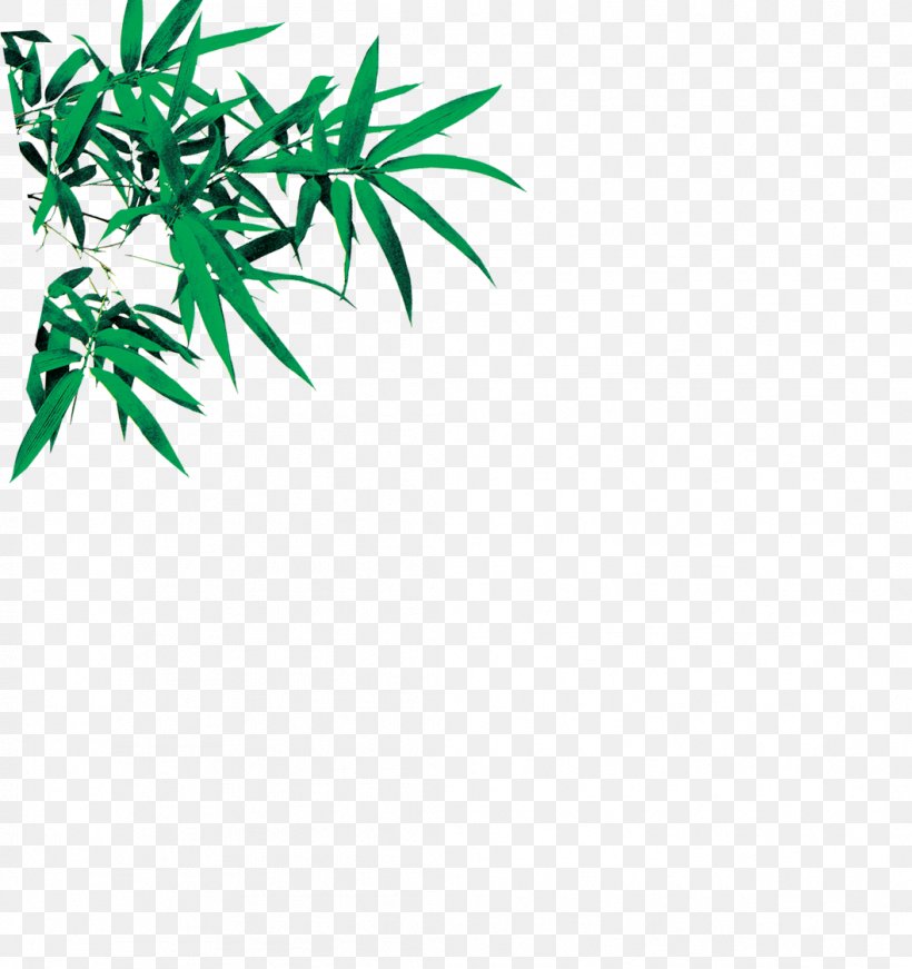 Bamboo Leaf Euclidean Vector, PNG, 1058x1124px, Bamboo, Bamboe, Branch, Flora, Grass Download Free