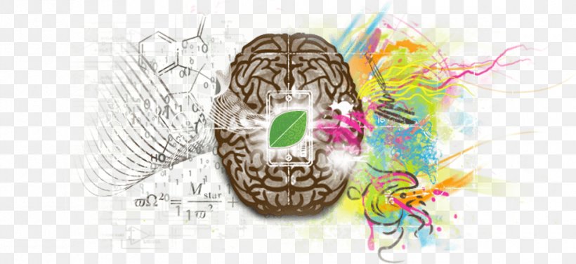 Engineering Creativity Anatomy Intelligence Human Body, PNG, 980x450px, Watercolor, Cartoon, Flower, Frame, Heart Download Free