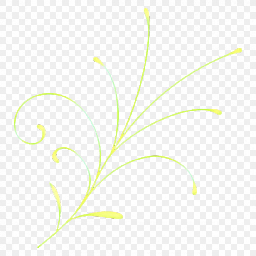 Leaf Plant Grass Grass Family Flower, PNG, 1200x1200px, Leaf, Flower, Grass, Grass Family, Pedicel Download Free