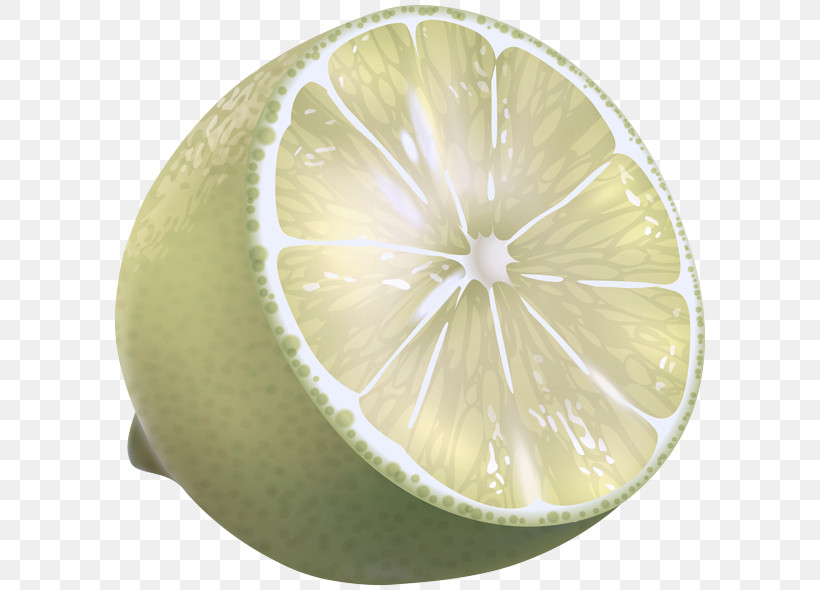 Citrus Lime Lemon Fruit Persian Lime, PNG, 600x590px, Citrus, Fruit, Grapefruit, Key Lime, Lemon Download Free