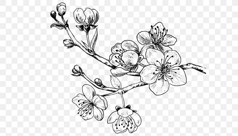 Drawing Cherry Blossom Sweet Cherry, PNG, 600x470px, Drawing, Artwork, Black And White, Blossom, Body Jewelry Download Free