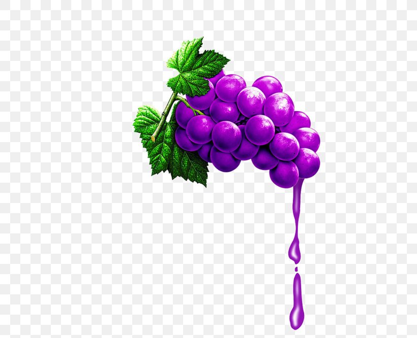 Grape Juice Grape Juice, PNG, 600x666px, Grape, Auglis, Flowering Plant, Food, Fruit Download Free