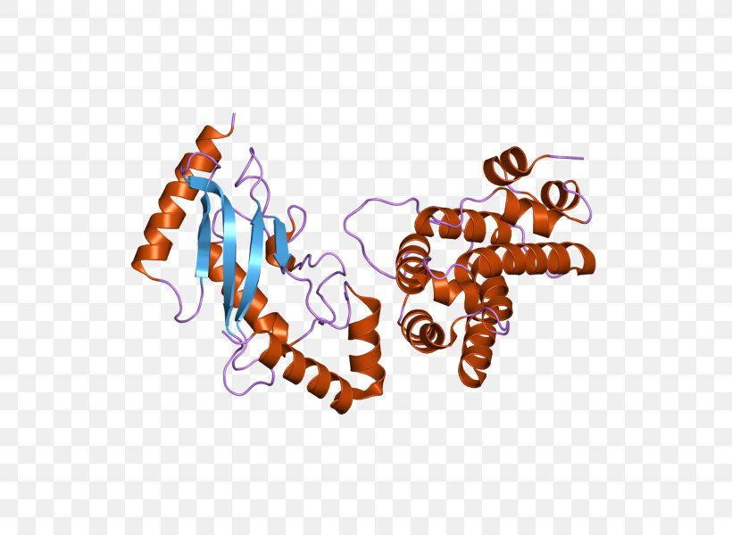 UBE2I Ubiquitin-conjugating Enzyme RANGAP1 Gene, PNG, 800x600px, Enzyme, Addition, Arsenic, Gene, Gramtrans Download Free