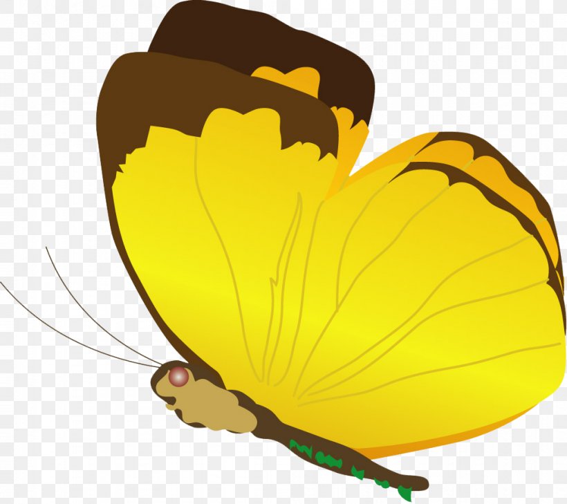 Butterfly Insect Clip Art, PNG, 1001x891px, Butterfly, Animal, Animation, Arthropod, Cartoon Download Free