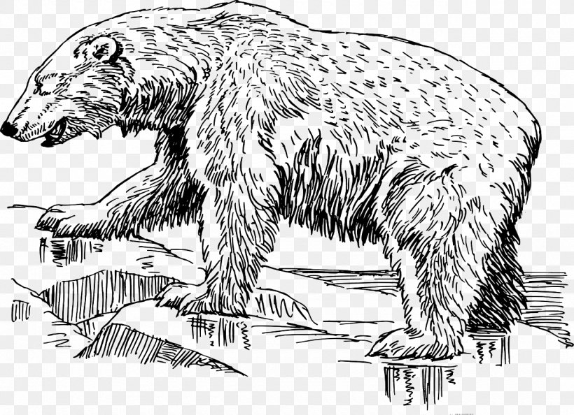 Polar Bear American Black Bear Grizzly Bear Clip Art, PNG, 1280x928px, Polar Bear, American Black Bear, Art, Artwork, Asian Black Bear Download Free