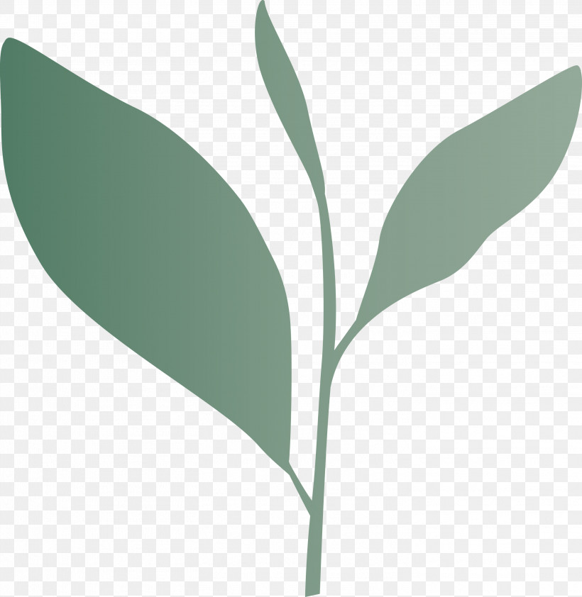 Tea Leaves Leaf Spring, PNG, 2919x3000px, Tea Leaves, Eucalyptus, Flower, Leaf, Plant Download Free