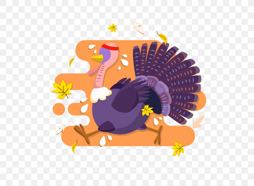 Turkey Thanksgiving Clip Art, PNG, 800x600px, Turkey, Art, Cartoon, Domesticated Turkey, Orange Download Free