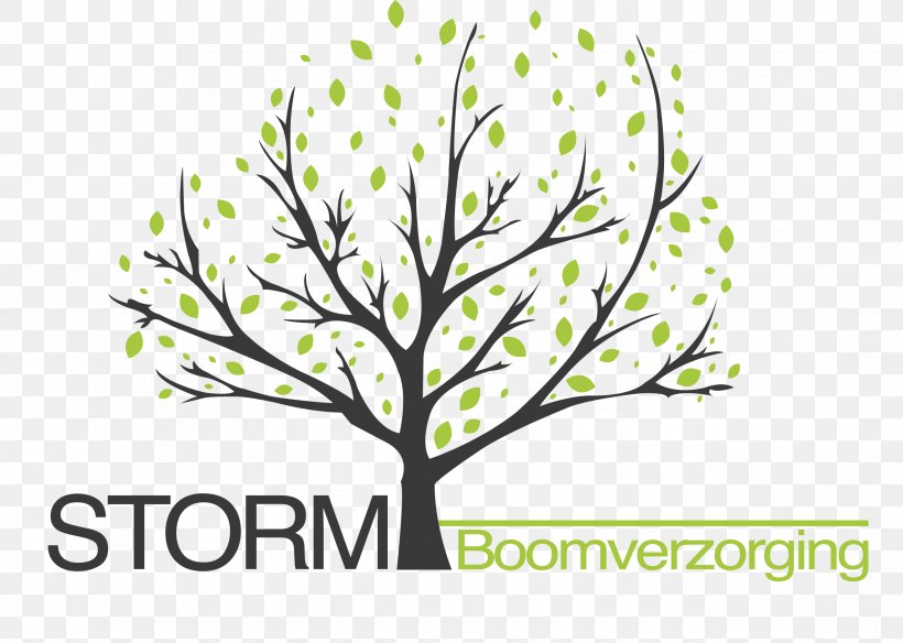 Twig Storm Boomverzorging Arboriculture Tree Branch, PNG, 2551x1818px, Twig, Advertising, Arboriculture, Arborist, Branch Download Free
