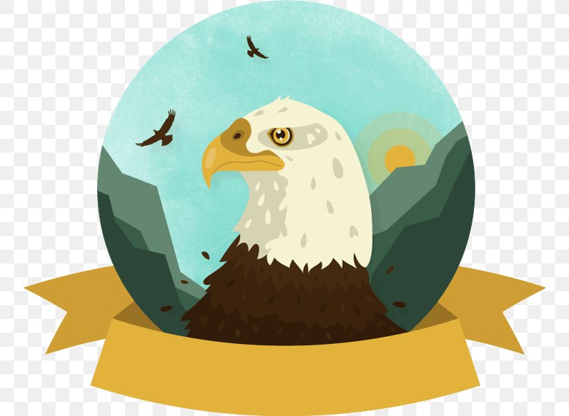 Bald Eagle White-tailed Eagle Bird, PNG, 753x600px, Bald Eagle, Beak, Bird, Bird Of Prey, Eagle Download Free