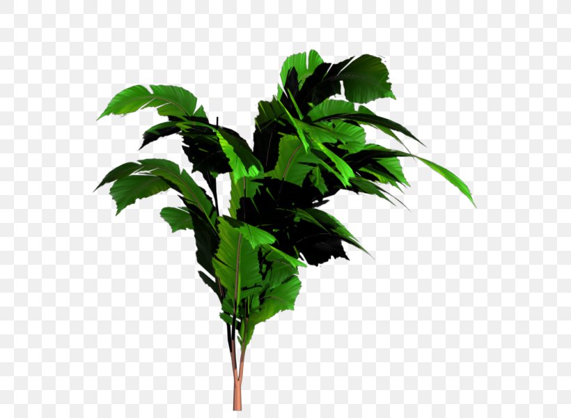 Banana Leaf Tree, PNG, 600x600px, Banana, Arecaceae, Banana Leaf, Banana Leaves, Branch Download Free