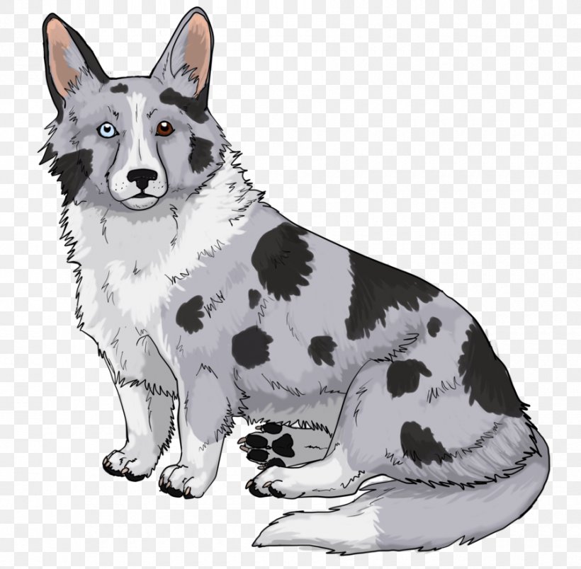 Dog Breed Karelian Bear Dog Cardigan Welsh Corgi Blue Merle, PNG, 900x883px, Dog Breed, Black White, Blue Merle, Breed, Cardigan Welsh Corgi Download Free