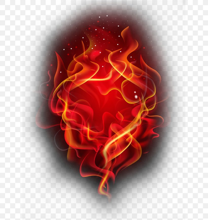 Flame Combustion Vecteur, PNG, 645x866px, Flame, Combustion, Curve, Fire, Information Download Free