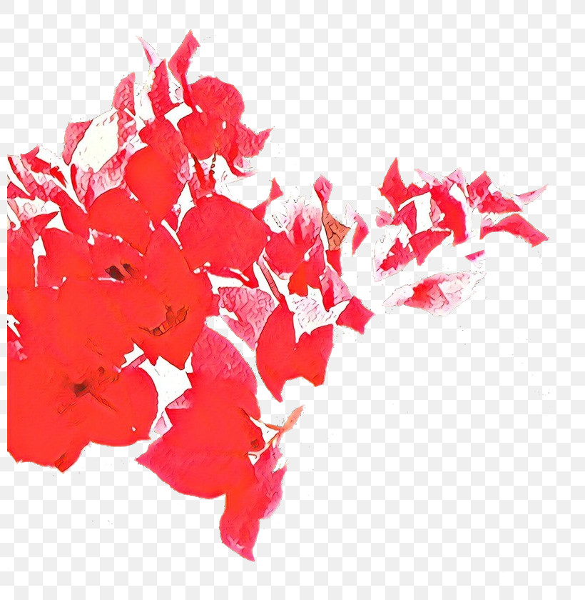 Red Petal Font Plant Flower, PNG, 800x840px, Red, Carmine, Flower, Petal, Plant Download Free