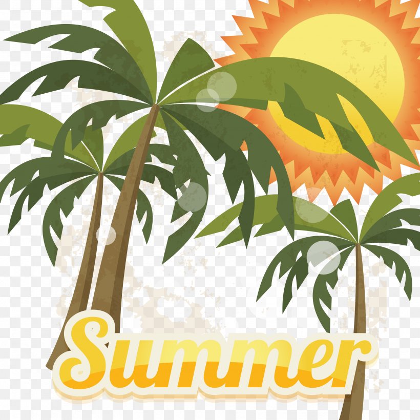 Summer Photography Euclidean Vector Illustration, PNG, 3333x3333px, Summer, Arecales, Hemp, Leaf, Palm Tree Download Free