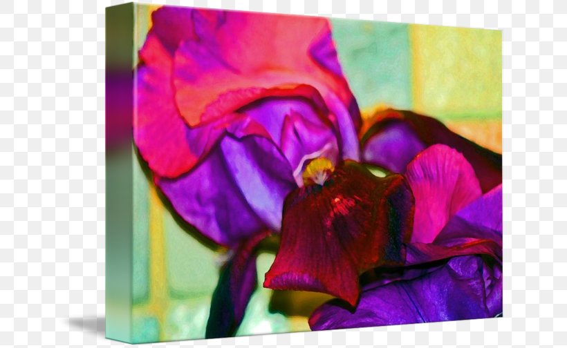 Acrylic Paint Pansy Rose Family Floral Design Violet, PNG, 650x504px, Acrylic Paint, Acrylic Resin, Art, Family, Floral Design Download Free