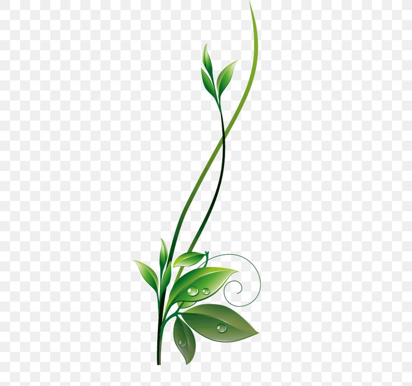 Green Clip Art, PNG, 294x768px, Green, Branch, Flora, Flower, Flowering Plant Download Free