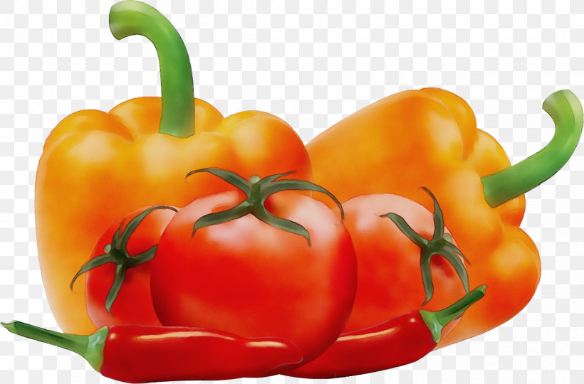 Habanero Cayenne Pepper Serrano Pepper Yellow Pepper Tabasco Pepper, PNG, 1260x831px, Watercolor, Bell Pepper, Cayenne Pepper, Chili Pepper, Habanero Download Free