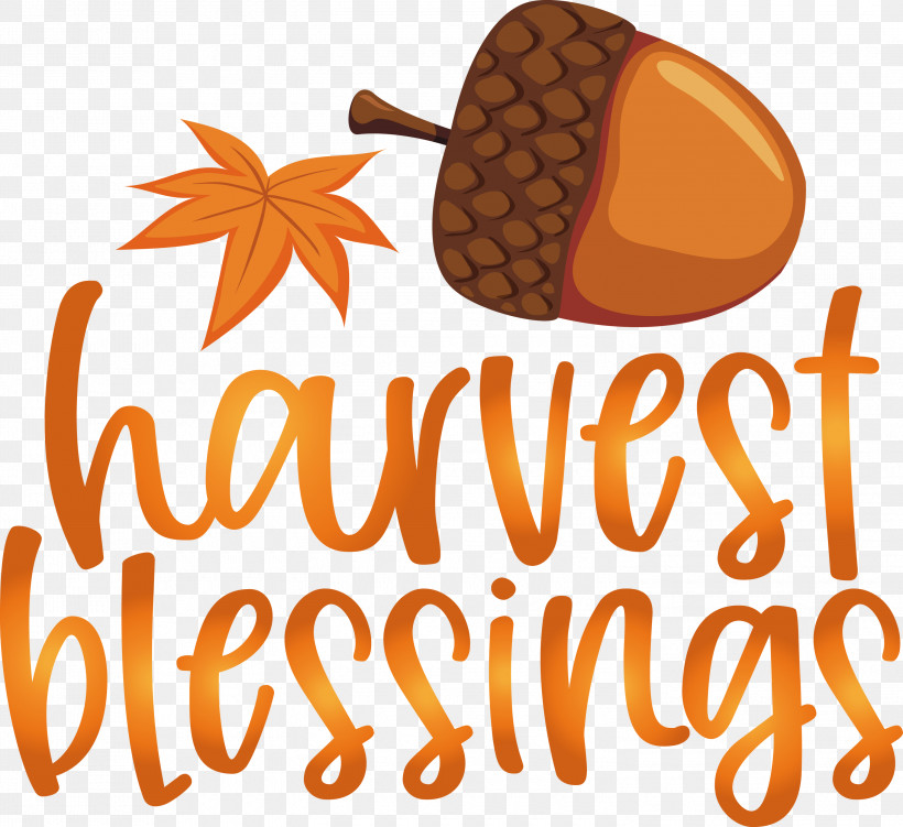 Harvest Autumn Thanksgiving, PNG, 3000x2750px, Harvest, Autumn, Commodity, Fruit, Meter Download Free