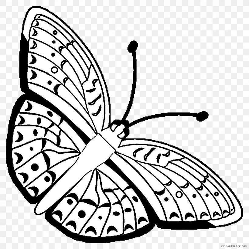 Monarch Butterfly Clip Art Brush-footed Butterflies Drawing, PNG, 1200x1200px, Monarch Butterfly, Area, Black And White, Brush Footed Butterfly, Brushfooted Butterflies Download Free