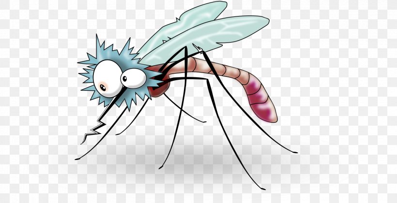 Mosquito Insect Clip Art, PNG, 2400x1232px, Mosquito, Arthropod, Cartoon, Drawing, Fly Download Free