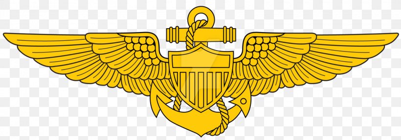 United States Naval Aviator Naval Aviation United States Navy 0506147919 Wing, PNG, 1600x562px, United States Naval Aviator, Army Aviation, Aviator Badge, Beak, Carrier Air Wing Download Free