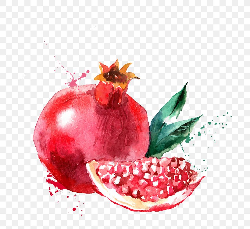 Watercolor Painting Fruit Drawing Illustration, PNG, 750x750px, Watercolor Painting, Accessory Fruit, Apple, Art, Cartoon Download Free