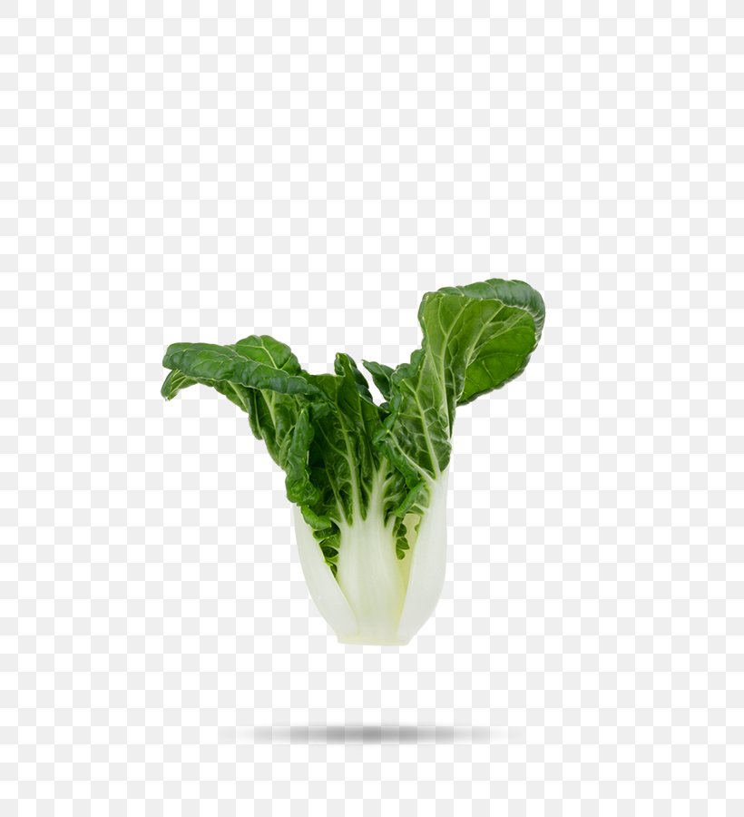 Bok Choi Romaine Lettuce Cabbage Vegetable Chard, PNG, 740x900px, Bok Choi, Arugula, Cabbage, Celtuce, Chard Download Free