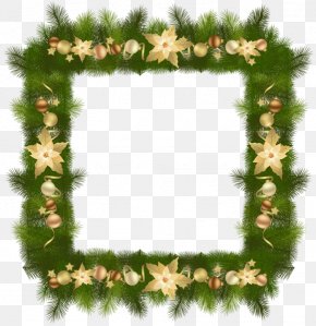 Border Christmas Pictures - Christmas Tree Picture Frames PNG