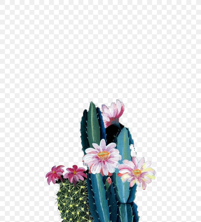 Floral Design Download Illustration, PNG, 510x905px, Floral Design, Cactus, Caryophyllales, Copyright, Cut Flowers Download Free