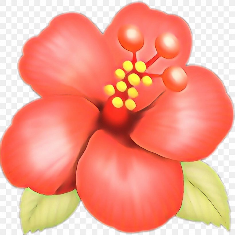 Leaf Illustration, PNG, 1024x1024px, Cartoon, Botanical Illustration, Botany, Drawing, Flower Download Free