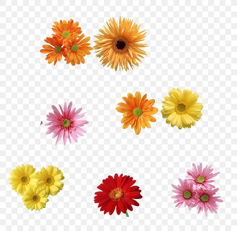 Chrysanthemum Tea Flower, PNG, 800x800px, Chrysanthemum, Annual Plant, Artificial Flower, Calendula, Chrysanthemum Tea Download Free