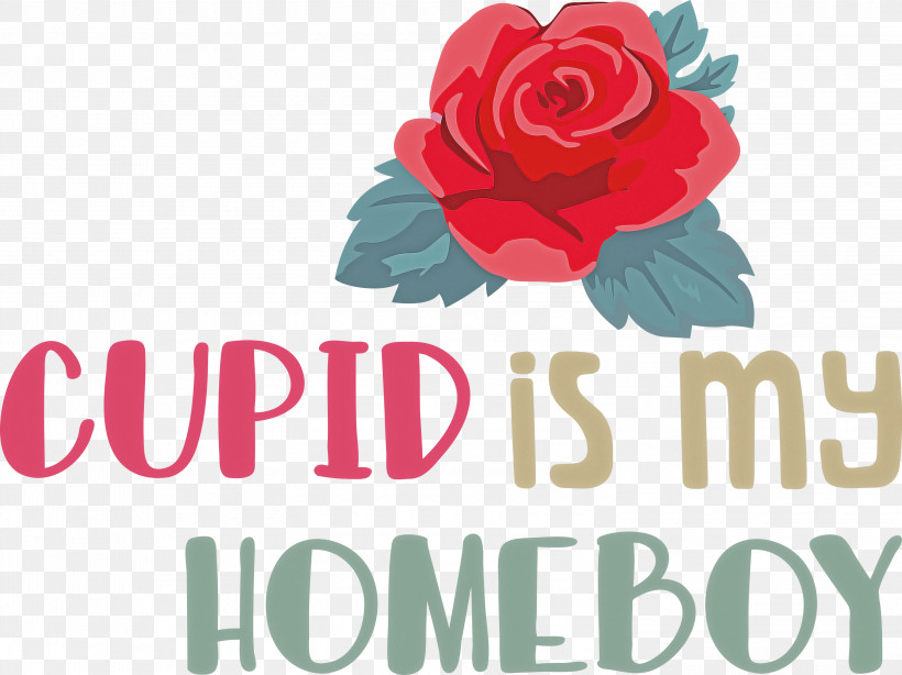 Cupid Is My Homeboy Cupid Valentine, PNG, 3000x2247px, Cupid, Cut Flowers, Floral Design, Flower, Garden Download Free