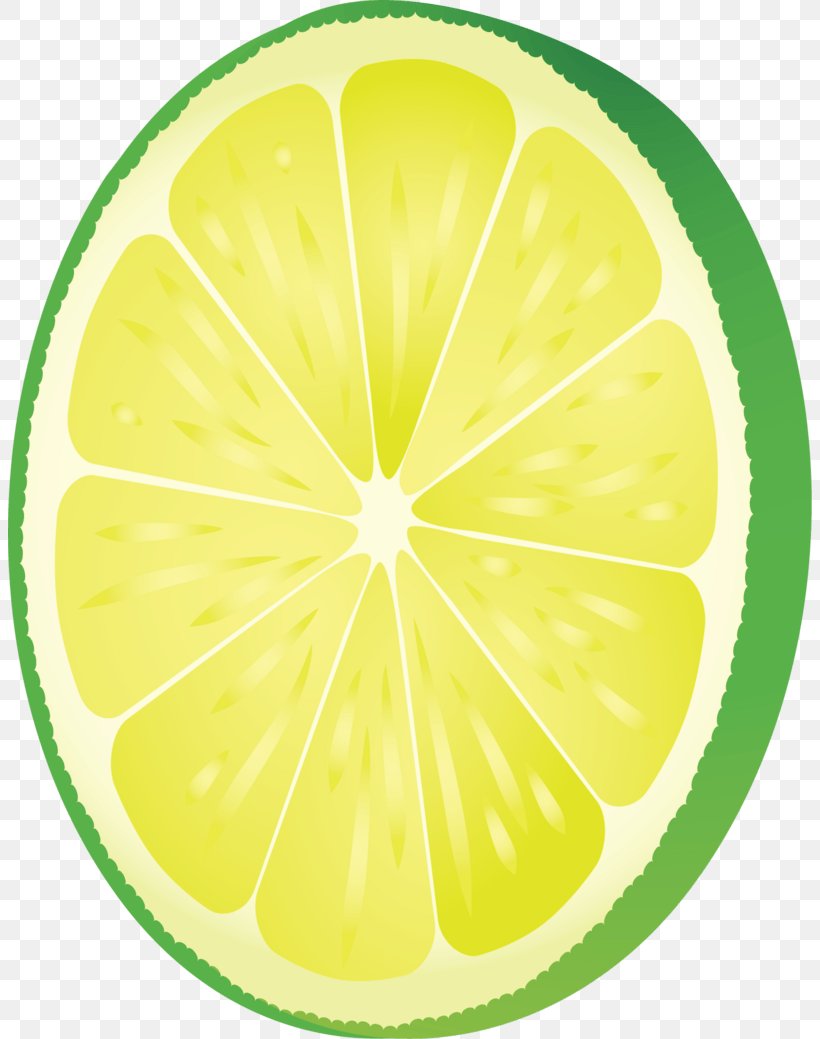 Lemon Lime Image Fruit, PNG, 804x1039px, Lemon, Citric Acid, Citron, Citrus, Drawing Download Free