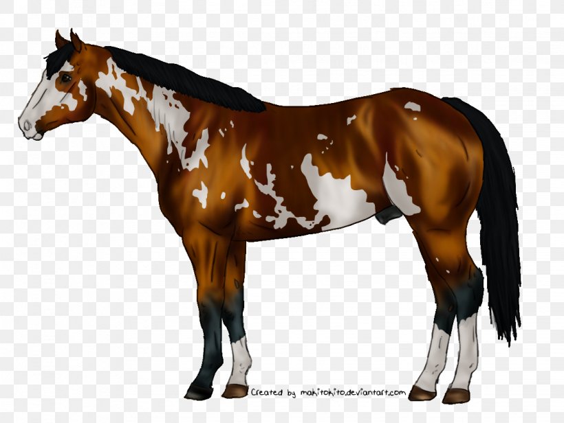 Mare Foal Stallion Colt American Saddlebred, PNG, 1136x854px, Mare, American Saddlebred, Bridle, Colt, Filly Download Free
