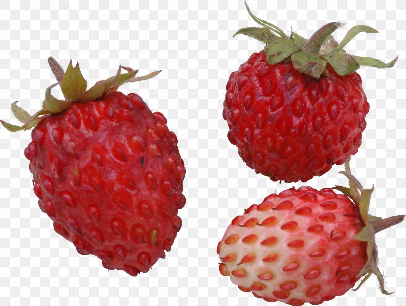 Strawberry Raspberry Accessory Fruit Loganberry, PNG, 2997x2261px, Strawberry, Accessory Fruit, Auglis, Berry, Depositfiles Download Free