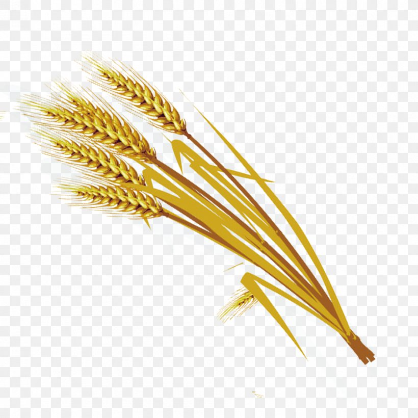 Emmer Einkorn Wheat Durum Spelt, PNG, 945x945px, Emmer, Cereal, Cereal Germ, Commodity, Crop Download Free
