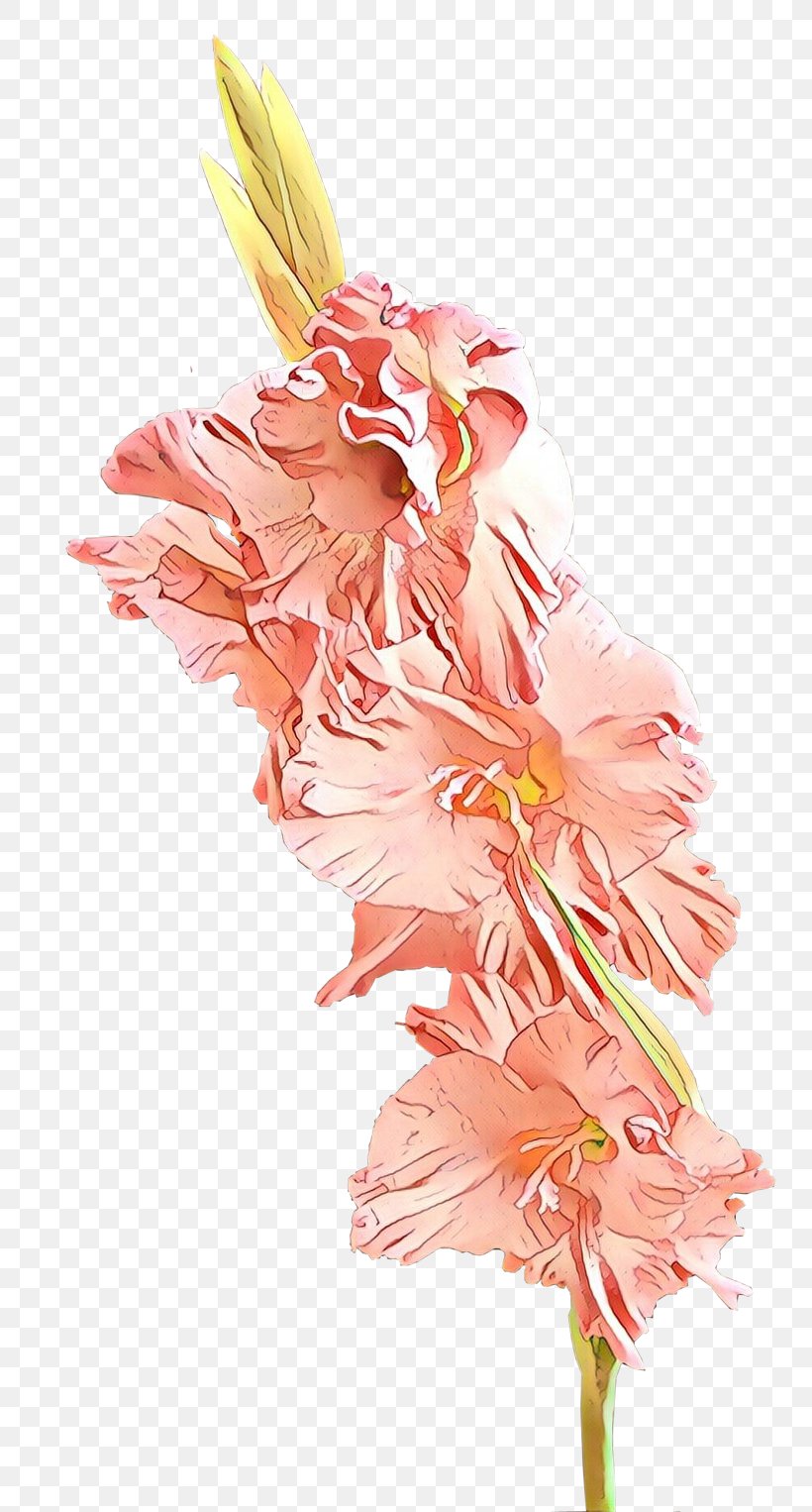 Flower Cut Flowers Plant Pink Gladiolus, PNG, 800x1526px, Cartoon, Bouquet, Cut Flowers, Flower, Flowering Plant Download Free