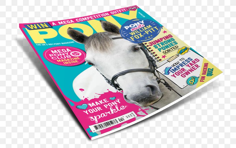 Horse PONY Magazine You Know How To Travel Animal, PNG, 767x514px, Horse, Advertising, Animal, Fear, Magazine Download Free