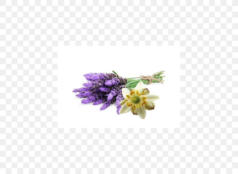 Lavender Flower Violet Garden Roses Herb, PNG, 600x600px, Lavender, Cut Flowers, Flavor, Flower, Flower Garden Download Free