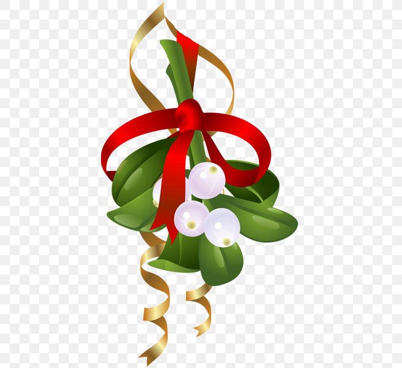 Mistletoe Clip Art, PNG, 407x750px, Mistletoe, Cartoon, Christmas, Christmas Decoration, Christmas Ornament Download Free