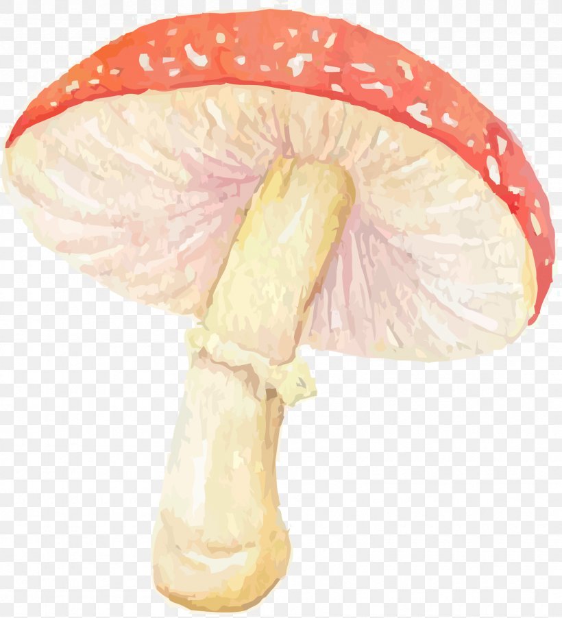 Mushroom, PNG, 1665x1833px, Mushroom, Agaricaceae, Cartoon, Designer, Flower Download Free