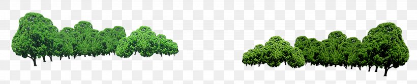 Tree Transparency And Translucency, PNG, 3581x730px, Tree, Biome, Branch, Conifer, Grass Download Free