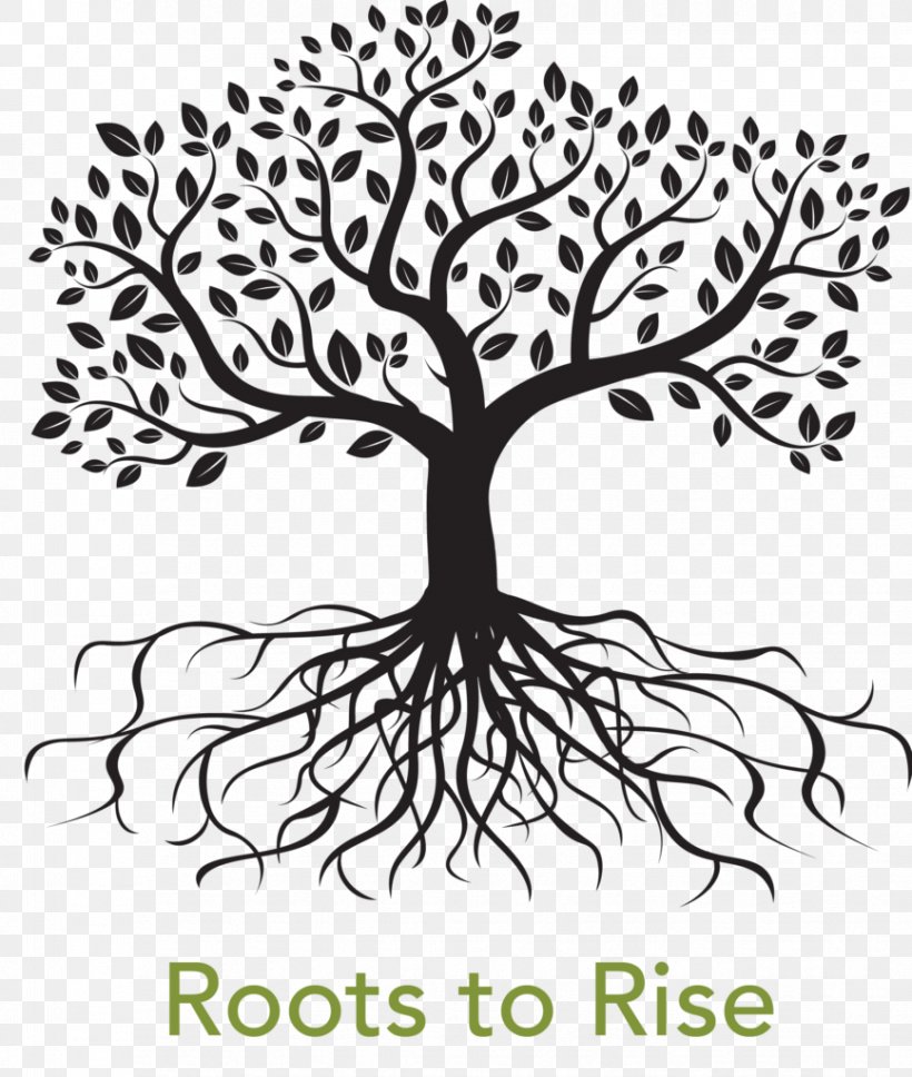 Clip Art Vector Graphics Root Tree Image, PNG, 867x1024px, Root, Artwork, Black And White, Branch, Flora Download Free