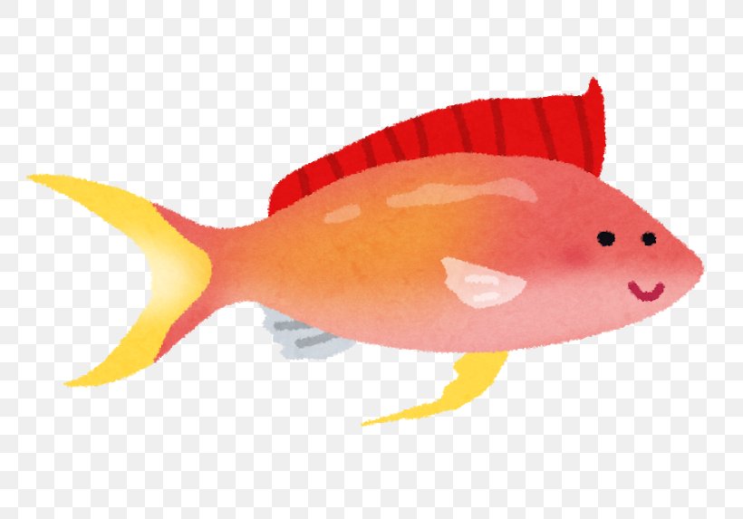 いらすとや Fish Orange Animal, PNG, 800x573px, Fish, Animal, Animal Figure, Banquet, Body Download Free