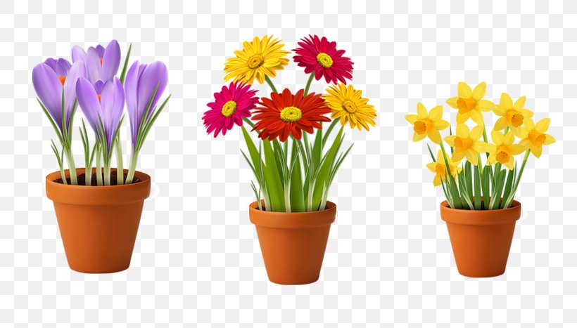Flowerpot Stock Photography Clip Art, PNG, 800x467px, Flowerpot, Cut Flowers, Floral Design, Floristry, Flower Download Free