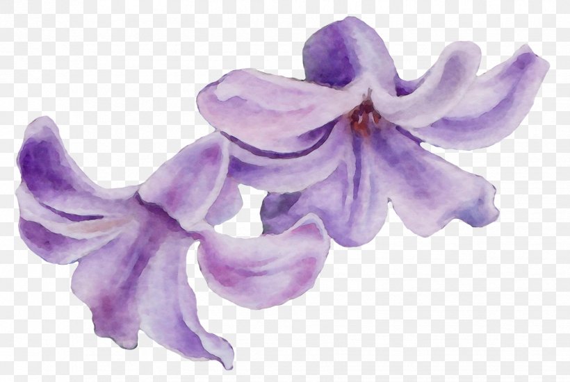 Lavender, PNG, 1751x1175px, Watercolor, Bellflower Family, Flower, Flowering Plant, Lavender Download Free