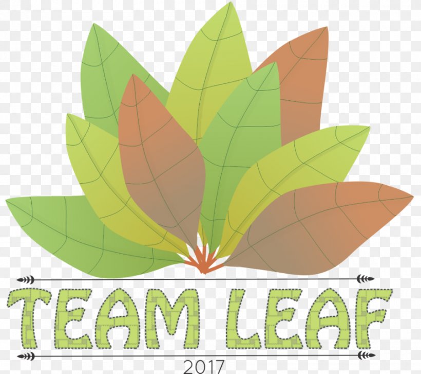 Leaf Tree Font, PNG, 900x798px, Leaf, Plant, Tree Download Free